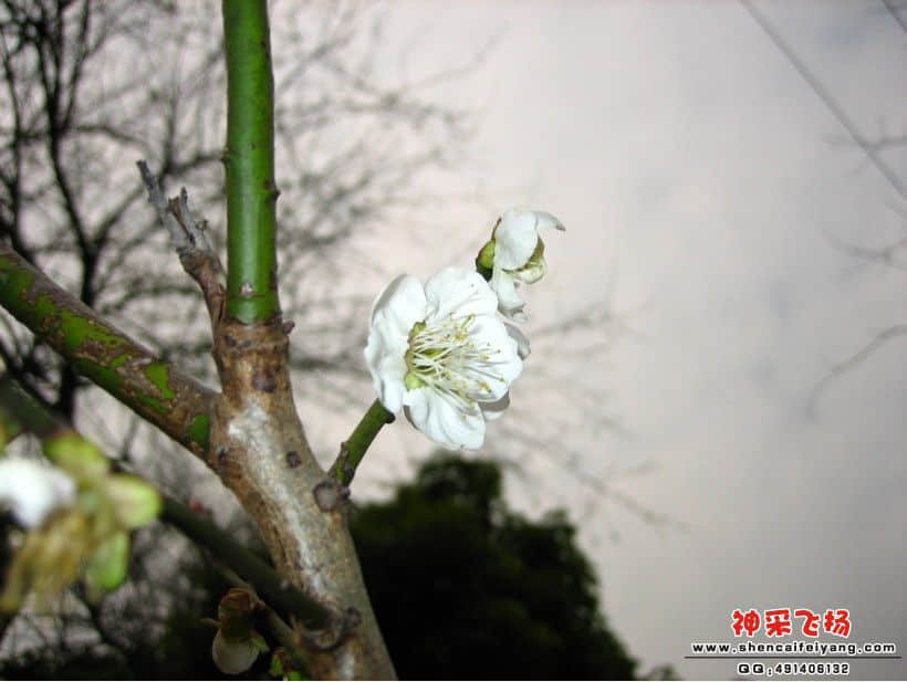 QQ截图20111227180108.jpg