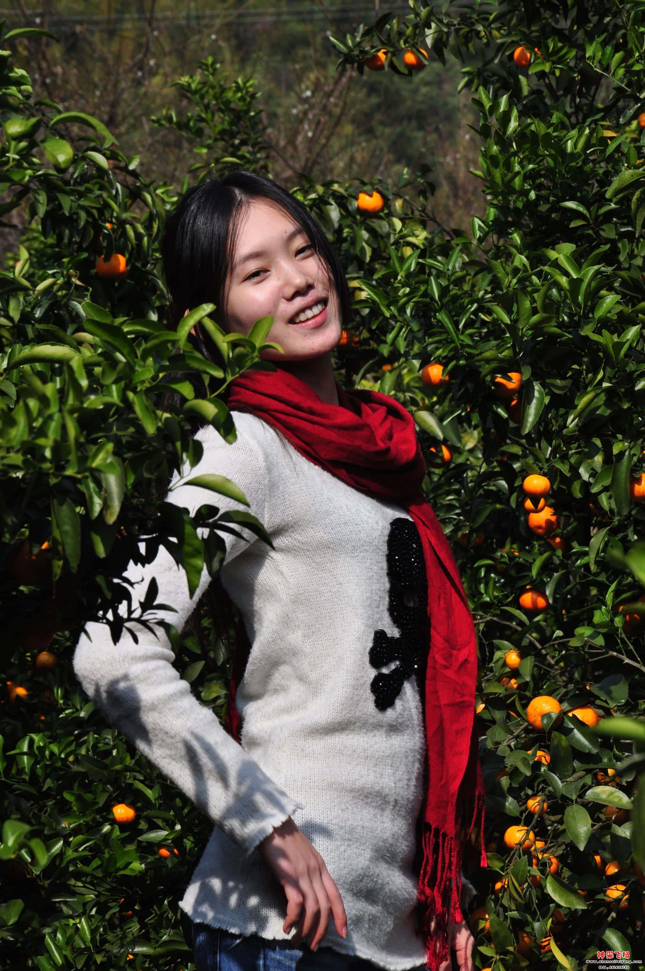 照片 937.jpg
