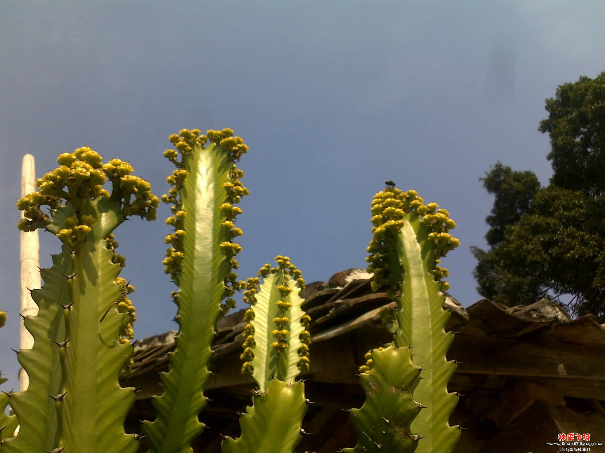 20111227138.jpg