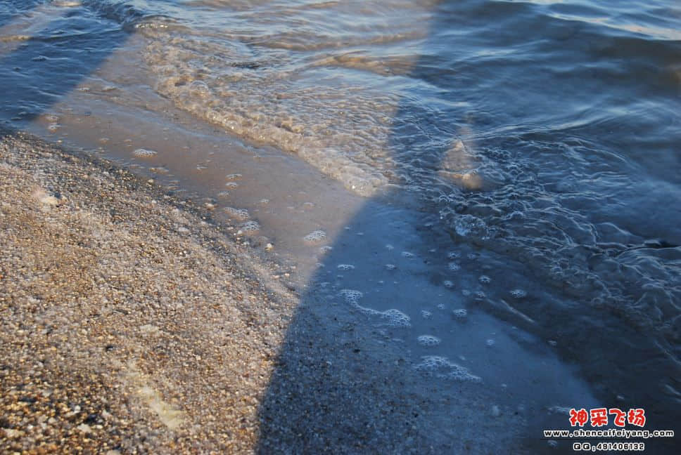 死海边的盐.JPG