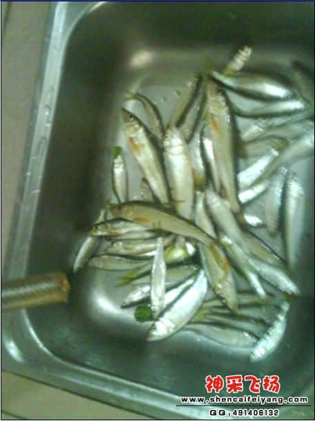 11.jpg