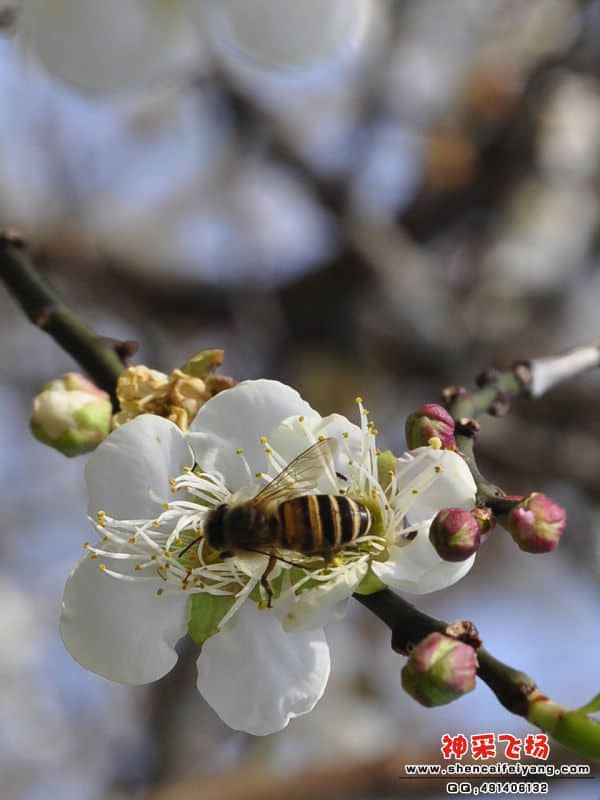 照片 126.jpg