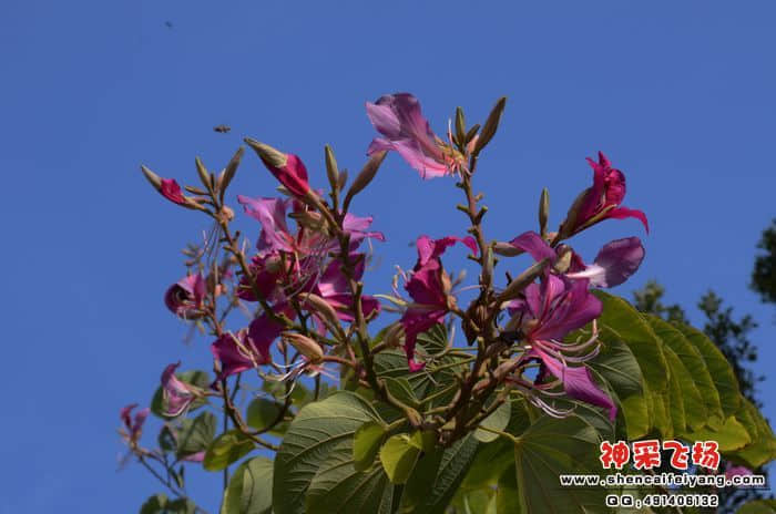 DSC_10021.jpg