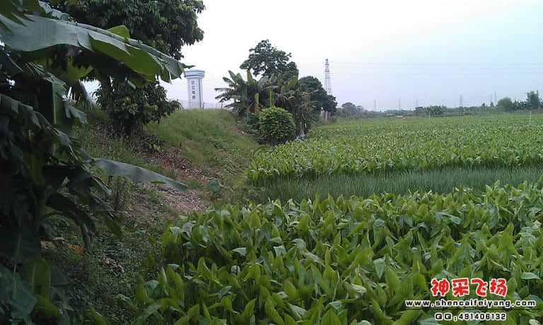 IMAG0162.jpg