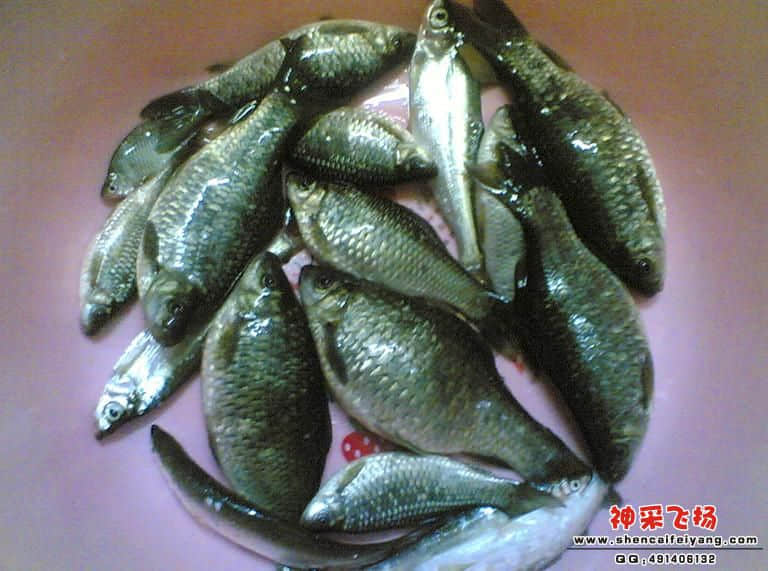20110418_副本.jpg