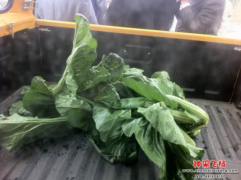 照片 102.jpg