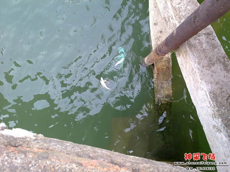 20120103820_副本.jpg