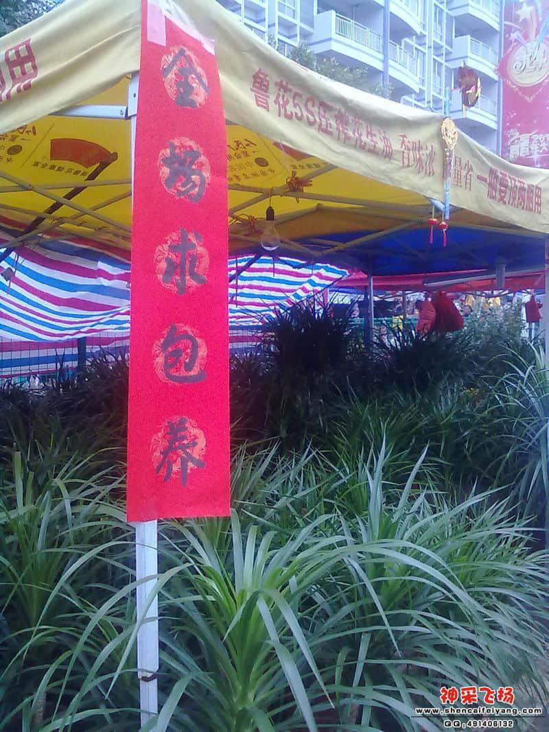 201201201482.jpg