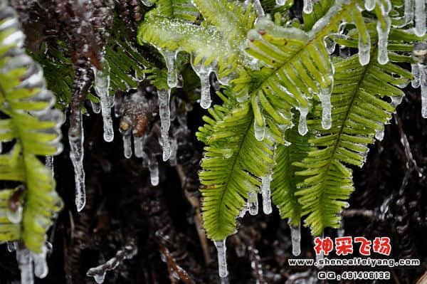 照片 099.jpg