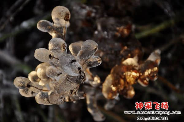 照片 067.jpg
