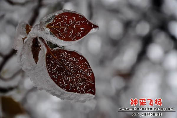 照片 226.jpg