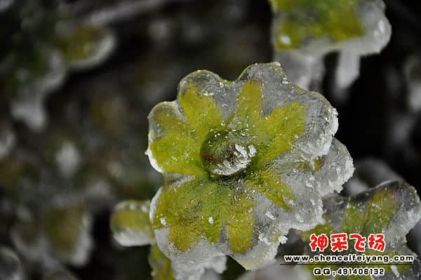 照片 208.jpg