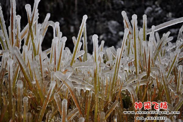 照片 189.jpg